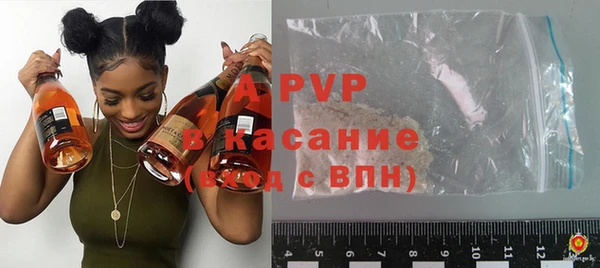 индика Беломорск