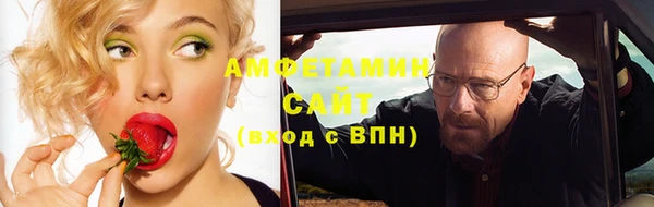 индика Беломорск