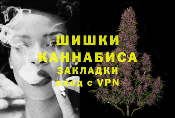 индика Беломорск