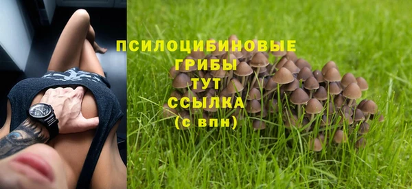 индика Беломорск