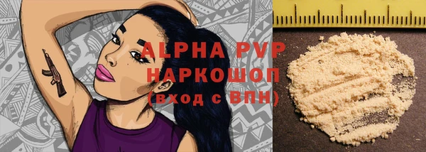 индика Беломорск