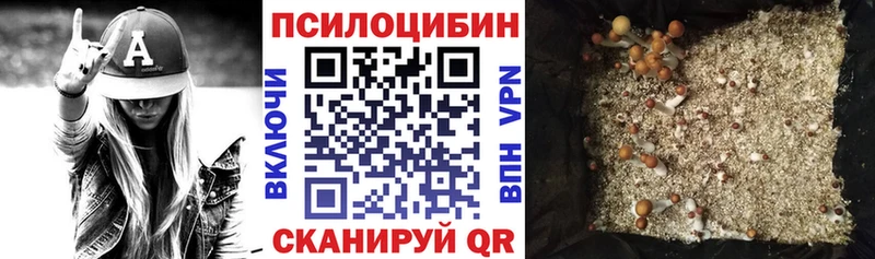 Псилоцибиновые грибы MAGIC MUSHROOMS Бахчисарай